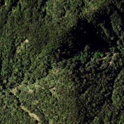 Satellite imagery of 1322 RANGIPOUA, NZ