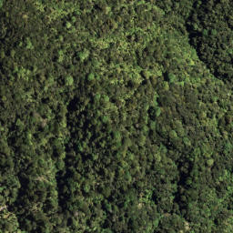 Satellite imagery of 7151, NZ