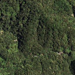Satellite imagery of 7151, NZ