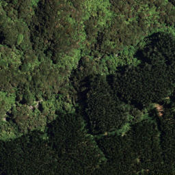 Satellite imagery of 7151, NZ