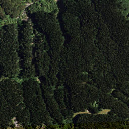 Satellite imagery of H2 NO 2, NZ