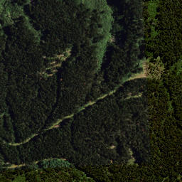 Satellite imagery of H2 NO 2, NZ