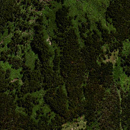 Satellite imagery of H2 NO 2, NZ