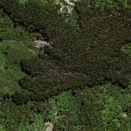 Satellite imagery of TA OUEWHEKI NO 2, NZ