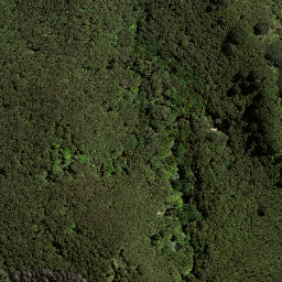 Satellite imagery of 201 TE POHUE, NZ
