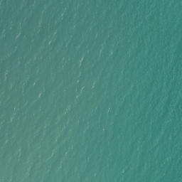 Satellite imagery of Puketapu Point, NZ