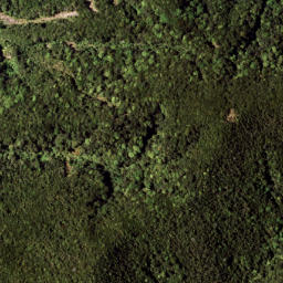 Satellite imagery of 1322 RANGIPOUA, NZ