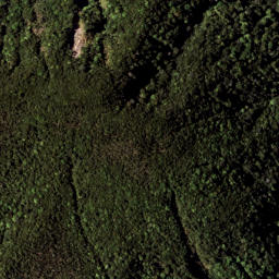 Satellite imagery of 1322 RANGIPOUA, NZ