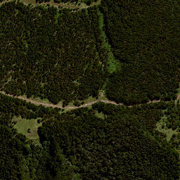 Satellite imagery of H2 NO 2, NZ