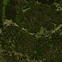 Satellite imagery of H2 NO 2, NZ