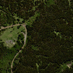 Satellite imagery of H2 NO 2, NZ
