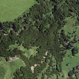 Satellite imagery of Te Upokoohinepaki Point, NZ
