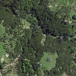 Satellite imagery of Whakariki Point, NZ