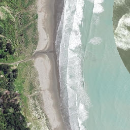 Satellite imagery of Whakariki Point, NZ