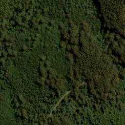 Satellite imagery of Mount Toorongo, AU