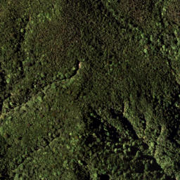 Satellite imagery of 1322 RANGIPOUA, NZ
