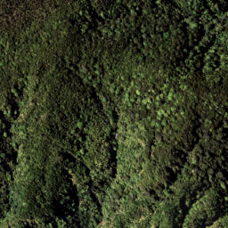 Satellite imagery of 1322 RANGIPOUA, NZ