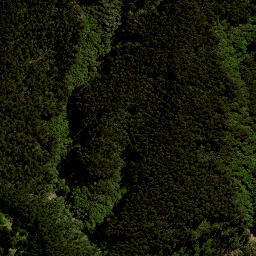 Satellite imagery of 7151, NZ