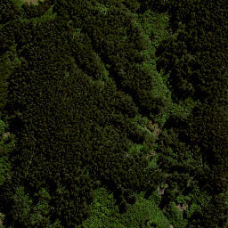 Satellite imagery of 7151, NZ