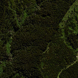 Satellite imagery of H2 NO 2, NZ