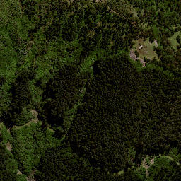 Satellite imagery of H2 NO 2, NZ