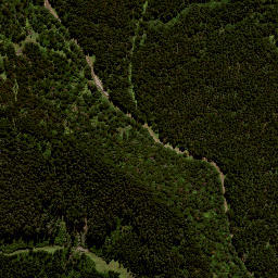 Satellite imagery of H2 NO 2, NZ