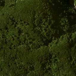 Satellite imagery of 7153, NZ