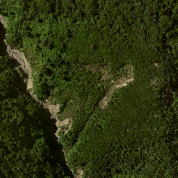 Satellite imagery of 7153, NZ