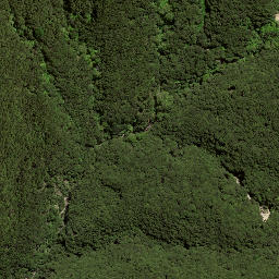Satellite imagery of 201 TE POHUE, NZ