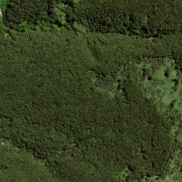 Satellite imagery of 201 TE POHUE, NZ