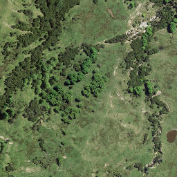 Satellite imagery of Te Upokoohinepaki Point, NZ
