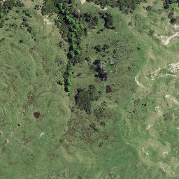Satellite imagery of Whakariki Point, NZ