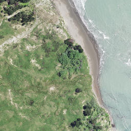 Satellite imagery of Whakariki Point, NZ