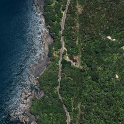 Satellite imagery of Puketapu Point, NZ