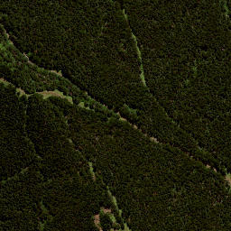 Satellite imagery of 7155, NZ