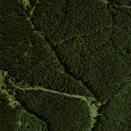 Satellite imagery of 7155, NZ