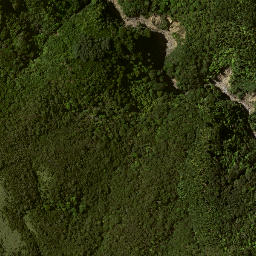 Satellite imagery of 7153, NZ