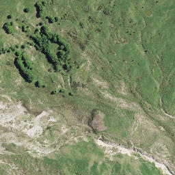 Satellite imagery of Whakariki Point, NZ