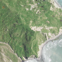 Satellite imagery of Whakariki Point, NZ