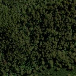 Satellite imagery of Mount Toorongo, AU