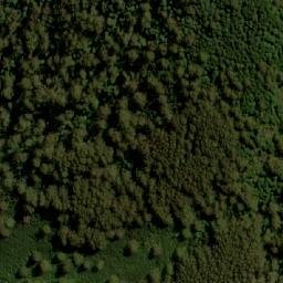 Satellite imagery of Mount Toorongo, AU