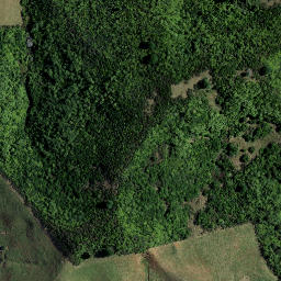 Satellite imagery of 46 OHIAPOPOKO, NZ