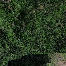 Satellite imagery of 46 OHIAPOPOKO, NZ
