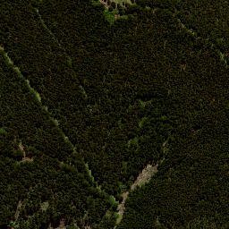 Satellite imagery of 7155, NZ