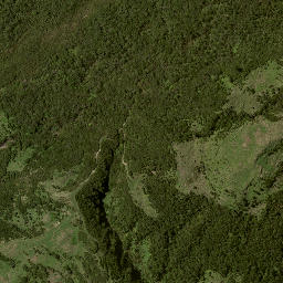 Satellite imagery of 7153, NZ