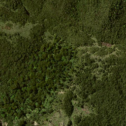 Satellite imagery of 7153, NZ