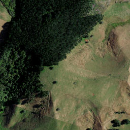 Satellite imagery of 46 OHIAPOPOKO, NZ