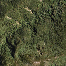 Satellite imagery of 1328 WHANOKAO, NZ