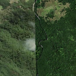Satellite imagery of Woody Head, NZ