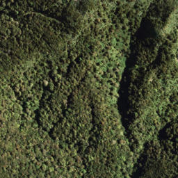 Satellite imagery of 1328 WHANOKAO, NZ